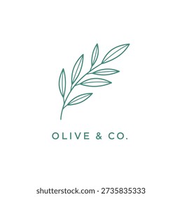 Elegant and minimalist logo featuring a delicate olive branch illustration and the text "OLIVE And CO." on a clean white background.