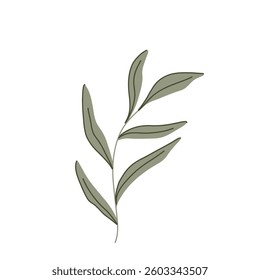 Elegant minimalist vector botanical illustration of green leaves with subtle line art. Created in a modern flat style with neutral tones. Perfect for eco-friendly designs, logos, and digital art