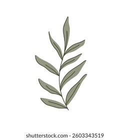 Elegant minimalist vector botanical illustration of green leaves with subtle line art. Created in a modern flat style with neutral tones. Perfect for eco-friendly designs, logos, and digital art