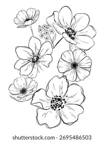 Elegante und minimalistische Vektorkomposition mit fünf Gänseblümchen. In einem stylischen linearen, böhmischen (Boho) Skizzenstil mit sauberen schwarzen Linien auf weißem Hintergrund gezeichnet.