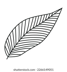 Elegant minimalistic black outline botanical individual grass or twig decorative element isolated on white background for a variety of graphic design uses.