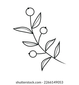 Elegant minimalistic black outline botanical individual grass or twig decorative element isolated on white background for a variety of graphic design uses.