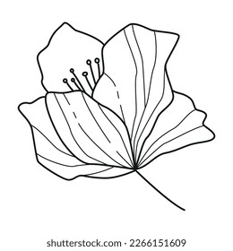 Elegant minimalistic black outline botanical individual  decorative flower element isolated on white background for a variety of graphic design uses.