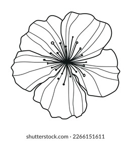 Elegant minimalistic black outline botanical individual  decorative flower element isolated on white background for a variety of graphic design uses.