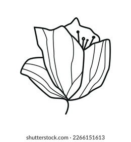 Elegant minimalistic black outline botanical individual  decorative flower element isolated on white background for a variety of graphic design uses.