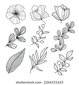 Elegant minimalistic black outline botanical grass, twigs, leaves and flowers decorative set for a variety of graphic design uses. 