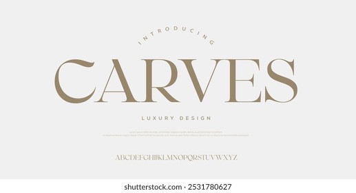 Elegante moderno alfabeto letras fonte logotipo. Tipografia de luxo clássico lettering serif italic fontes casamento vintage retro logos. ilustração vetorial
