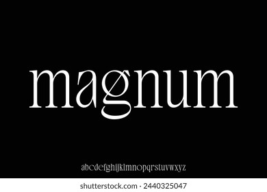 Elegant modern serif alphabet display font vector. Minimalist magnum typeface