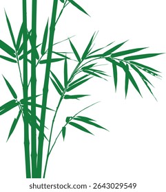 Elegant monochrome close-up of bamboo. Silhouetted stalks and leaves are sharply defined against a clean white background. Ideal for design projects needing a touch of serenity and nature.
