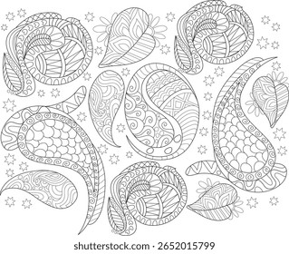 Elegante padrão de Paisley monocromático com detalhes Zen Doodle e formas de estrelas, ideal para livros de colorir adultos, impressões têxteis e fundos decorativos.