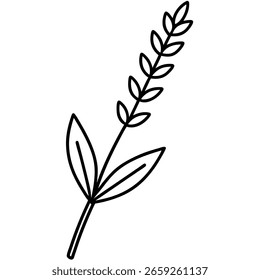 Elegante Monoline Lavendel Stem Vektorgrafik - Minimale Blumenlinien Kunst, Botanische Umrisse, Naturdekor, Aromatherapie, Spa, Kosmetiklabel, Organic Design, Hochzeitseinladung Grafik
