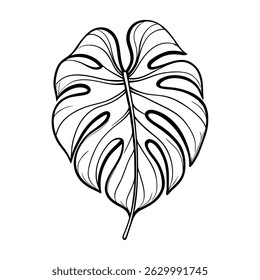 Elegant monstera leaf line art on white. Modern tropical design element. Perfect for invitations, prints, or minimalist backgrounds.