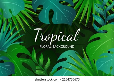 Elegant  monstera and tropical leaves background