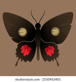 Elegant Moth Illustration With Bold Colors On Brown Background