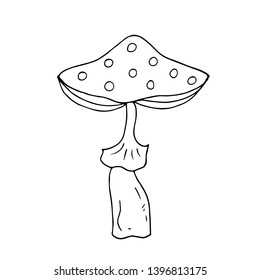 Elegant mushroom fly agaric. Vector illustration.