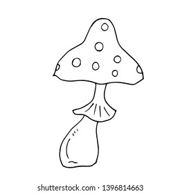 Elegant mushroom fly agaric. Vector illustration.