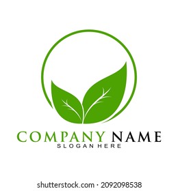 Elegant natural leaf vector logo