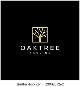 Elegant Oak Tree Logo Design