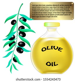 
elegant olive oil bottle. vector illustration. Vector bottle of olive oil with black olives. Olive branch and olive oil bottle poster. vector illustration.