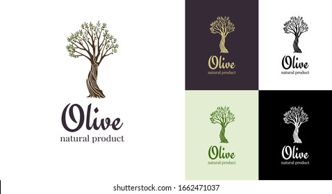 Elegant olive tree isolated icon. Vector tree logo design concept. Olive tree silhouette illustration. Natural olive oil tree plant emblem