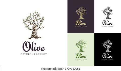 Elegant olive tree isolated icon. Creative olive tree silhouette. Logo design used for advertising products premium quality