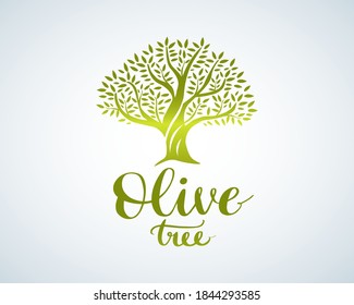 Elegant olive tree isolated icon. Vector tree logo design concept. Olive tree silhouette illustration. Natural olive oil tree plant emblem and brush lettering.