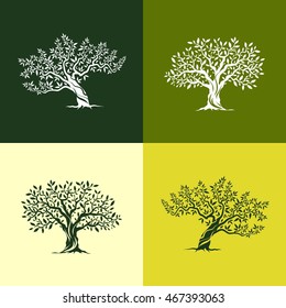 Elegant olive tree isolated icon set. Web infographic tree vector sign. Premium quality tree logo design concept pictogram. Olive tree silhouette illustration. Natural olive oil tree plant emblem.