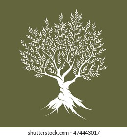 Elegant olive tree isolated icon. Web infographic tree vector sign. Premium quality tree logo design concept pictogram. Olive tree silhouette illustration. Natural olive oil tree plant emblem.