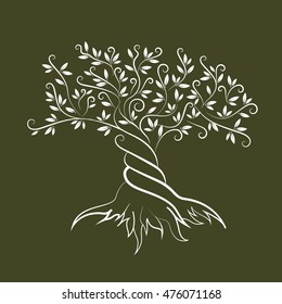 Elegant olive tree isolated icon. Web infographic tree vector sign. Premium quality tree logo design concept pictogram. Olive tree silhouette illustration. Natural olive oil tree plant emblem.