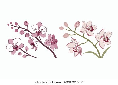Elegant Orchid Floral Design on White Background