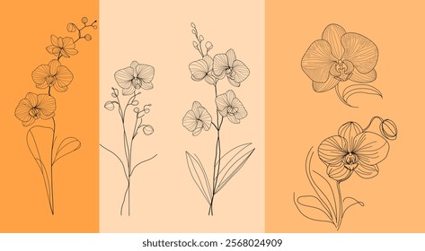 Elegant orchid flower collection continuous line drawing set minimalist botanical art for beauty logo design and floral wedding invitations