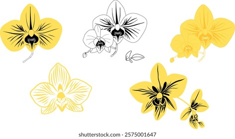 Elegant orchid line art set. Hand drawn yellow flowers. For stickers, logos, icons, packaging design, digital artwork, product labels, botanical themes. 