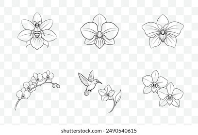 Elegant Orchid Line Art Vector Set for Intricate Floral Illustrations and Detailed Botanical Designs