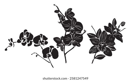 Elegant Orchid Silhouettes, A Trio of Blooming Branches in Bold Black Against a Crisp White Canvas Evoking Graceful Botanical Art