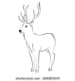 Elegante dibujo esquemático de ciervo. Ilustración del vector