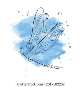 Elegante Skizzenzeichnung der Libellen. Vektorgrafik.