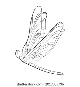 Elegant outline drawing of dragonfly. Vector illustration.
