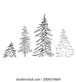 Dibujo esquemático elegante de pino, ilustración vectorial