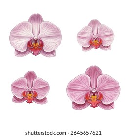 Elegant painting of pink orchids with lush green leaves, perfect for home decor, botanical art lovers, and serene interiors. Vibrant floral masterpiece adds a touch of natures beauty to any space.