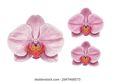 Elegante pintura de orquídeas cor-de-rosa com exuberantes folhas verdes, perfeito para a decoração da casa, amantes da arte botânica e interiores serenos. Uma obra-prima floral vibrante acrescenta um toque de beleza natural a qualquer espaço.