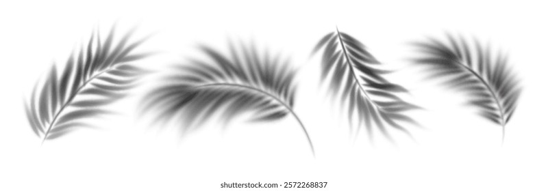 Elegant Palm Leaf Shadows Overlay Set on a White Background in Black and White. Beautiful palm leaf shadows cast on a plain white surface, creating a delicate texture. Vector Illustration  EPS10