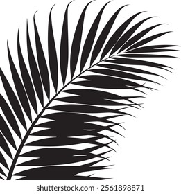 Elegant palm leaf silhouette with sleek, natural lines. Perfect for tropical, minimalist, or nature-inspired themes, adding a calming, exotic touch to any project or decor.