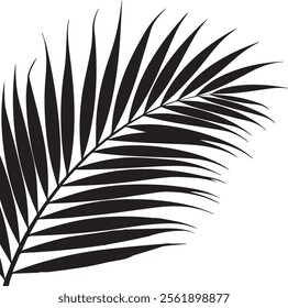 Elegant palm leaf silhouette with sleek, natural lines. Perfect for tropical, minimalist, or nature-inspired themes, adding a calming, exotic touch to any project or decor.