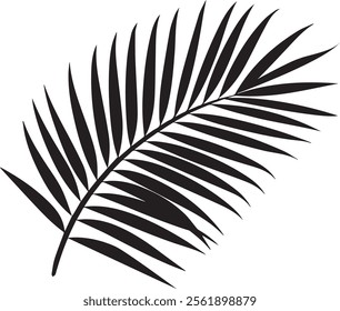 Elegant palm leaf silhouette with sleek, natural lines. Perfect for tropical, minimalist, or nature-inspired themes, adding a calming, exotic touch to any project or decor.