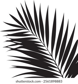 Elegant palm leaf silhouette with sleek, natural lines. Perfect for tropical, minimalist, or nature-inspired themes, adding a calming, exotic touch to any project or decor.