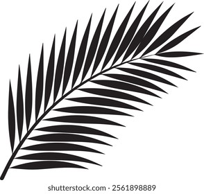 Elegant palm leaf silhouette with sleek, natural lines. Perfect for tropical, minimalist, or nature-inspired themes, adding a calming, exotic touch to any project or decor.