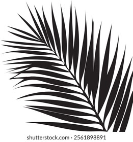 Elegant palm leaf silhouette with sleek, natural lines. Perfect for tropical, minimalist, or nature-inspired themes, adding a calming, exotic touch to any project or decor.