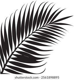 Elegant palm leaf silhouette with sleek, natural lines. Perfect for tropical, minimalist, or nature-inspired themes, adding a calming, exotic touch to any project or decor.