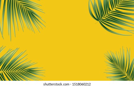 Elegant palm tree leaves pattern background