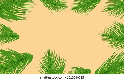 Elegant palm tree leaves pattern background
